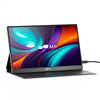 Mobile Pixels 15.6" LCD monitor - black.