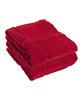 Set of 2 All-Clad chili kitchen towels.