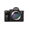 Sony Alpha a7 III camera body (24.2 MP) - now at a discount!