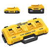 20V max lithium-ion 2.0Ah and 5.0Ah batteries, plus a 12V/20V/60V max 4-port charger.