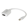 8in Mini DisplayPort to HDMI Adapter