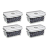 Zwilling Fresh & Save 4-pc vacuum glass box set in grey. 