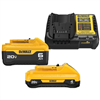 20V max lithium-ion 6.0Ah & 4.0Ah battery and charger starter kit.
