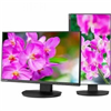 MultiSync 24" Class Full HD LED Monitor
