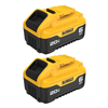 20V Max 6.0Ah Lithium-Ion Battery (2-Pack) - Discount available.