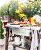 Cuisinart BBQ gadgets