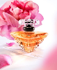Lancome Tresor Eau de Parfum - now available at a discount.