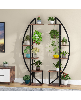 Multi-Purpose Curved Display Shelf Bonsai Flower Plant Stand Rack