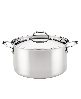 Anolon EverLast Stainless Steel 10.75" Tri-Ply Clad Stockpot