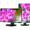 Sharp MultiSync 24" Class Full HD LED Monitor