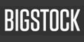 Bigstock Coupons + $5 cashback Bigstock Coupons + $5 cashback