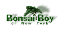 Bonsai Boy Coupons + cashback Bonsai Boy Coupons + cashback