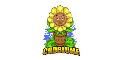 CBD Blume