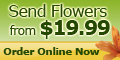 The Flower Factory USA Coupons + 10% cashback The Flower Factory USA Coupons + 10% cashback