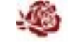 Lady Vintage vouchers + 7% cashback Lady Vintage vouchers + 7% cashback