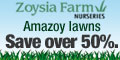 Zoysia Farm Nurseries Coupons + cashback Zoysia Farm Nurseries Coupons + cashback